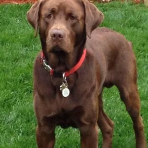 Meet your Posher, Natalie